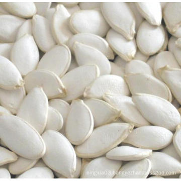 Xinjiang Brand Cheap And Good Quality Snow White Pumpkin Seeds